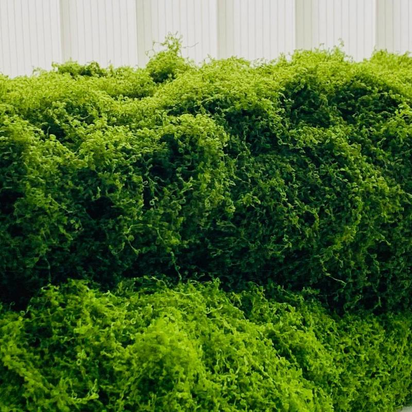 Transform Your Space with Our Lifelike 39.37In Artificial Moss Mat – Perfect for Indoor Wall and Table Decor, Sustainable Nylon Material for Christmas and Beyond!