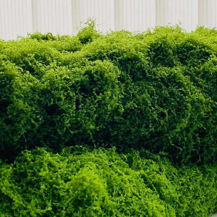 Transform Your Space with Our Lifelike 39.37In Artificial Moss Mat – Perfect for Indoor Wall and Table Decor, Sustainable Nylon Material for Christmas and Beyond!