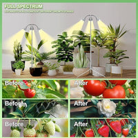 Grow Lights for Indoor Plants Full Spectrum with Detachable Tripod Stand,10-55 Inches Height Adjustable Aluminum Alloy Grow Lamp,Auto On/Off Timer,Indoor Plant LED Grow Light with Timer Indoor Plant Dimmable